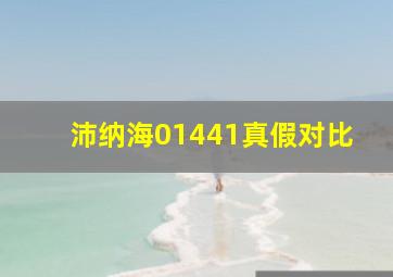 沛纳海01441真假对比