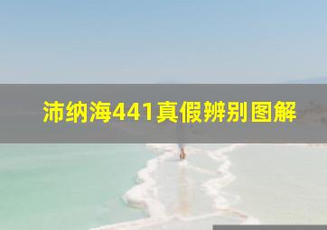 沛纳海441真假辨别图解