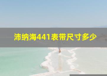 沛纳海441表带尺寸多少