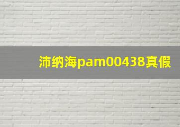 沛纳海pam00438真假