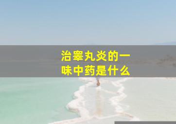 治睾丸炎的一味中药是什么