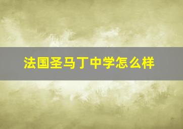 法国圣马丁中学怎么样