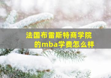 法国布雷斯特商学院的mba学费怎么样