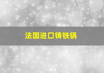 法国进口铸铁锅