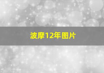 波摩12年图片