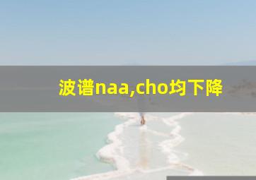 波谱naa,cho均下降