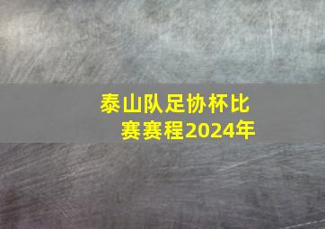 泰山队足协杯比赛赛程2024年