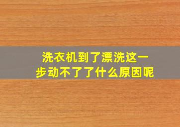 洗衣机到了漂洗这一步动不了了什么原因呢