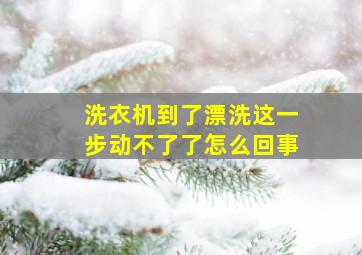 洗衣机到了漂洗这一步动不了了怎么回事