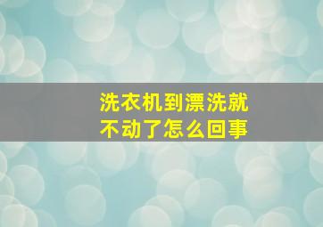 洗衣机到漂洗就不动了怎么回事