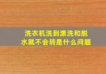 洗衣机洗到漂洗和脱水就不会转是什么问题