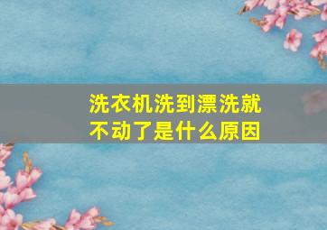 洗衣机洗到漂洗就不动了是什么原因