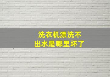 洗衣机漂洗不出水是哪里坏了