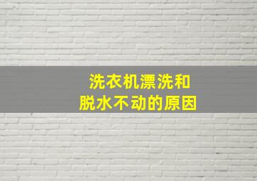 洗衣机漂洗和脱水不动的原因