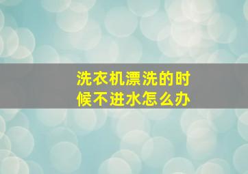 洗衣机漂洗的时候不进水怎么办