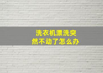 洗衣机漂洗突然不动了怎么办