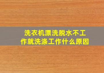 洗衣机漂洗脱水不工作就洗涤工作什么原因