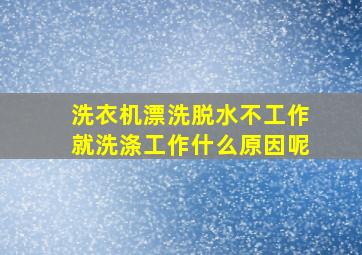 洗衣机漂洗脱水不工作就洗涤工作什么原因呢