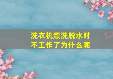 洗衣机漂洗脱水时不工作了为什么呢