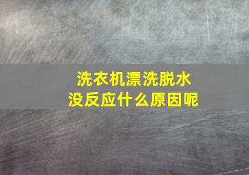 洗衣机漂洗脱水没反应什么原因呢