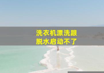 洗衣机漂洗跟脱水启动不了