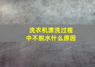 洗衣机漂洗过程中不脱水什么原因