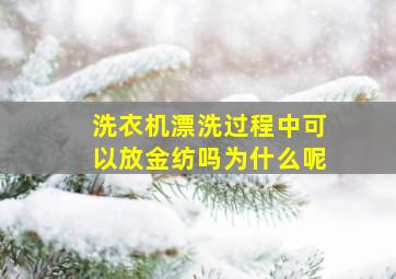 洗衣机漂洗过程中可以放金纺吗为什么呢