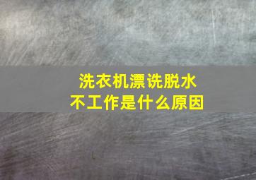 洗衣机漂诜脱水不工作是什么原因