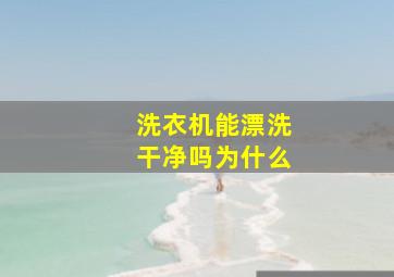 洗衣机能漂洗干净吗为什么