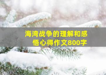 海湾战争的理解和感悟心得作文800字