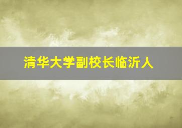 清华大学副校长临沂人