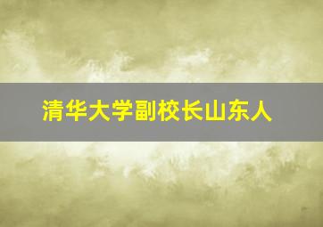 清华大学副校长山东人