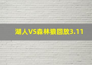 湖人VS森林狼回放3.11