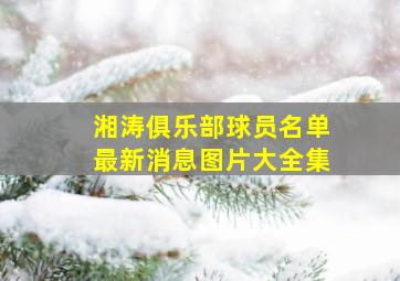 湘涛俱乐部球员名单最新消息图片大全集