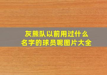 灰熊队以前用过什么名字的球员呢图片大全