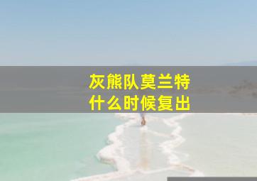 灰熊队莫兰特什么时候复出