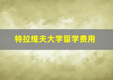 特拉维夫大学留学费用