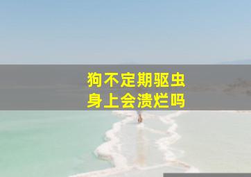 狗不定期驱虫身上会溃烂吗