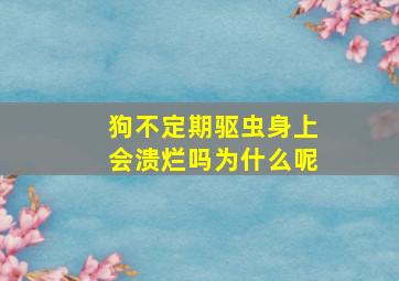 狗不定期驱虫身上会溃烂吗为什么呢