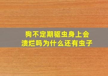 狗不定期驱虫身上会溃烂吗为什么还有虫子