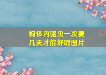 狗体内驱虫一次要几天才能好呢图片