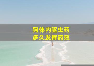 狗体内驱虫药多久发挥药效