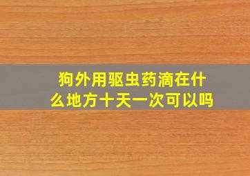 狗外用驱虫药滴在什么地方十天一次可以吗