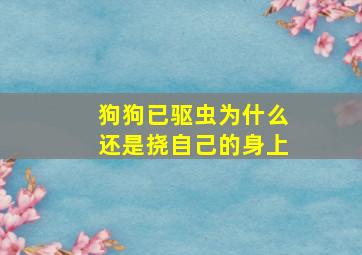 狗狗已驱虫为什么还是挠自己的身上