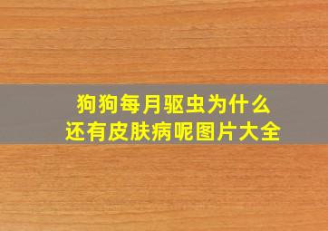 狗狗每月驱虫为什么还有皮肤病呢图片大全