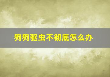 狗狗驱虫不彻底怎么办