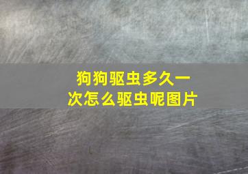 狗狗驱虫多久一次怎么驱虫呢图片