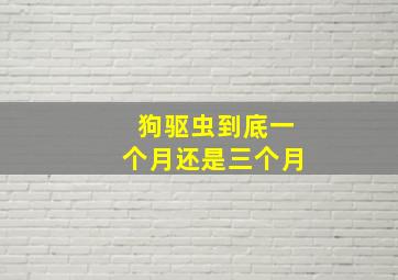 狗驱虫到底一个月还是三个月