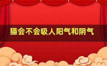 猫会不会吸人阳气和阴气