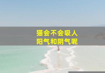 猫会不会吸人阳气和阴气呢